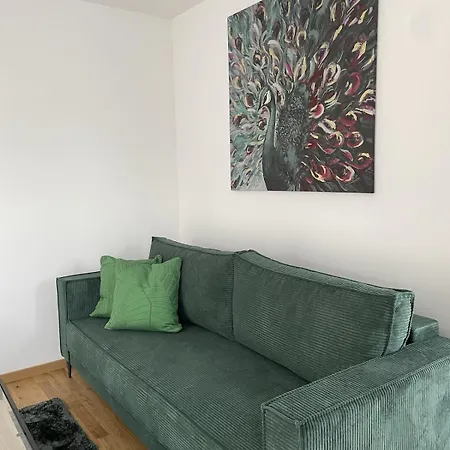 Grosszuegiges Ideal Fuer Familien Und Gruppen Apartment Dresden